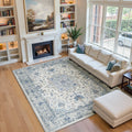 Area Rugs 5'x7' for Living Room