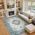 Area Rugs 6'x9' for Living Room